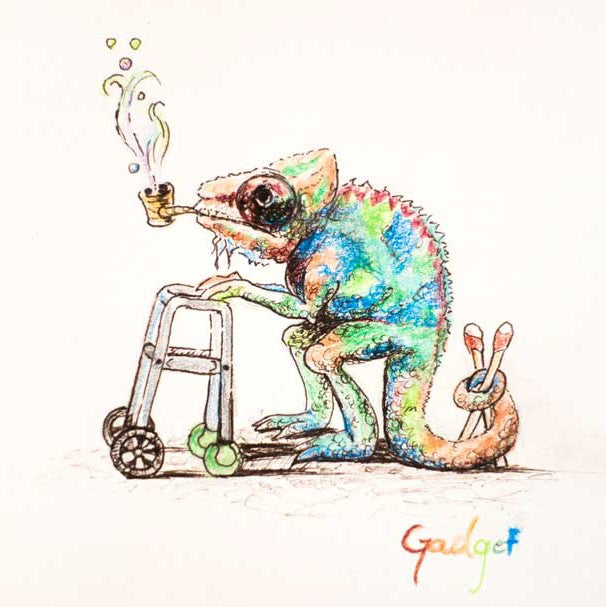 OLD CHAMELEMAN by artist Gadget